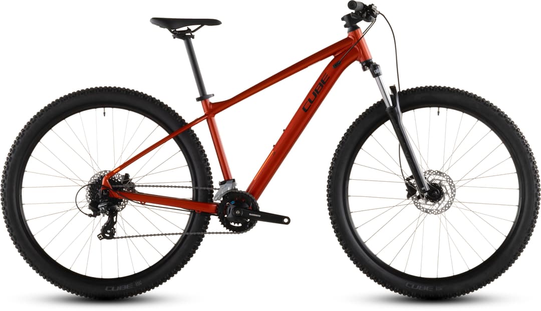 Cube Bike von Bikecenter Schager